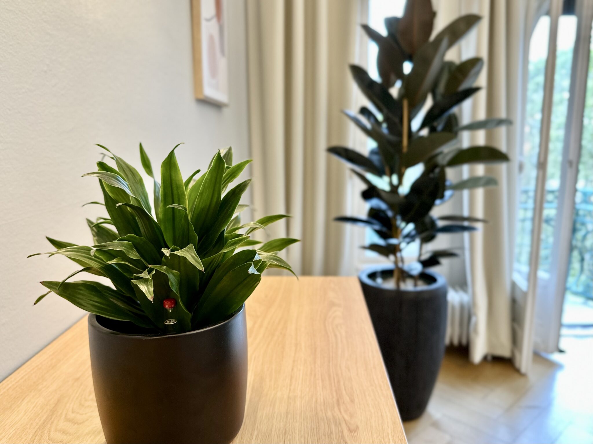 Hno-ärzte-wiesbaden Dr. Med. Schoppe Und Dr. Med. Küppers Fotos Praxis – MEDICI WIESBADEN